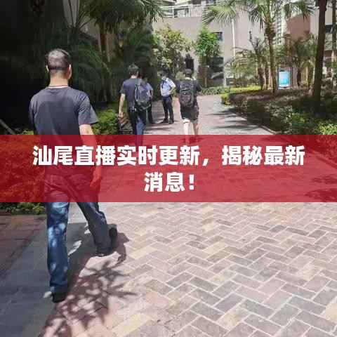汕尾直播实时更新，揭秘最新消息！