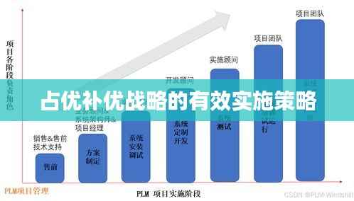占优补优战略的有效实施策略