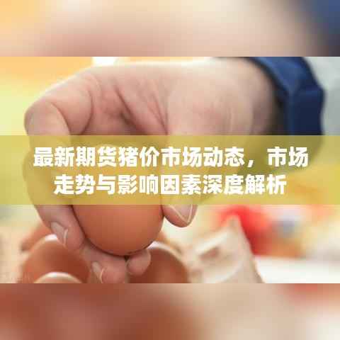 最新期货猪价市场动态,市场走势与影响因素深度解析