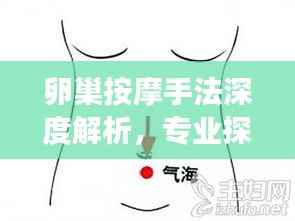 卵巢按摩手法深度解析,专业探讨,助您呵护卵巢健康
