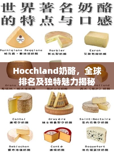Hocchland奶酪,全球排名及独特魅力揭秘