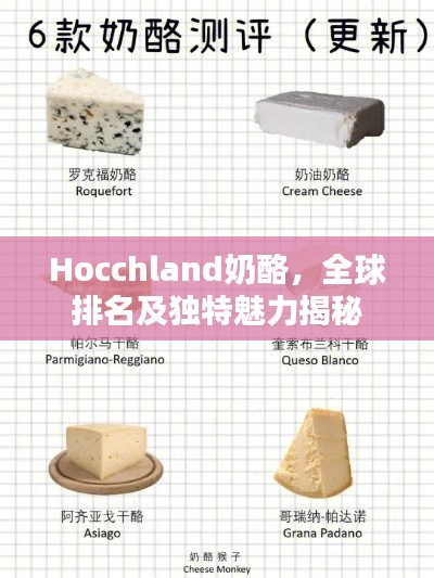 Hocchland奶酪,全球排名及独特魅力揭秘