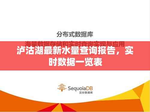 泸沽湖最新水量查询报告,实时数据一览表