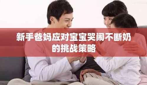 新手爸妈应对宝宝哭闹不断奶的挑战策略