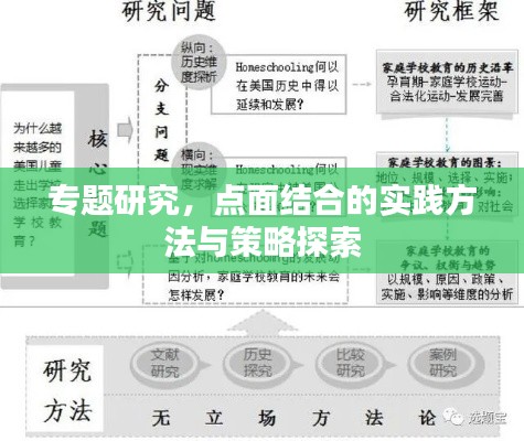 专题研究,点面结合的实践方法与策略探索