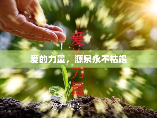 爱的力量,源泉永不枯竭