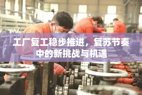 工厂复工稳步推进，复苏节奏中的新挑战与机遇