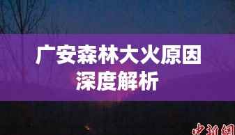 广安森林大火原因深度解析