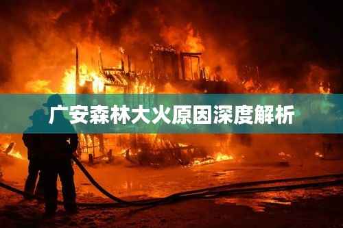 广安森林大火原因深度解析