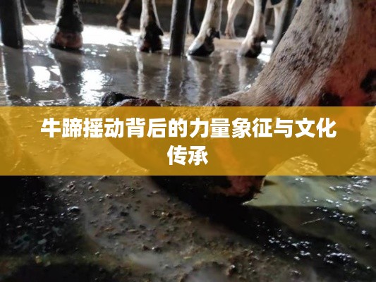 还淳反素 第2页