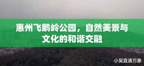惠州飞鹅岭公园,自然美景与文化的和谐交融
