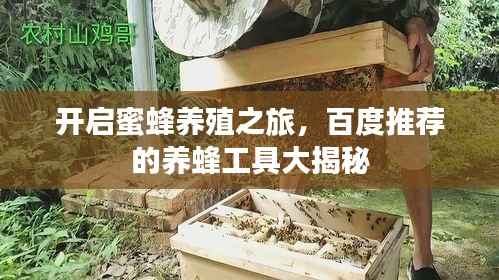 开启蜜蜂养殖之旅,百度推荐的养蜂工具大揭秘