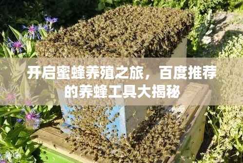 开启蜜蜂养殖之旅,百度推荐的养蜂工具大揭秘