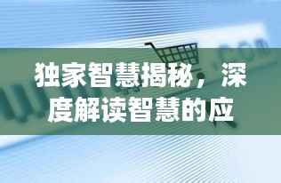 独家智慧揭秘,深度解读智慧的应用与价值