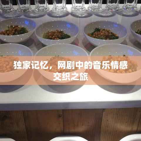 独家记忆,网剧中的音乐情感交织之旅