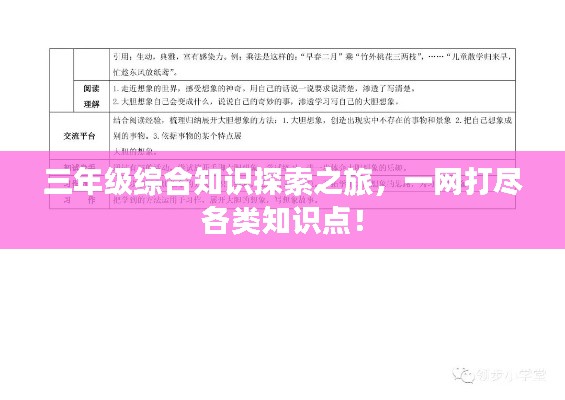 三年级综合知识探索之旅,一网打尽各类知识点!