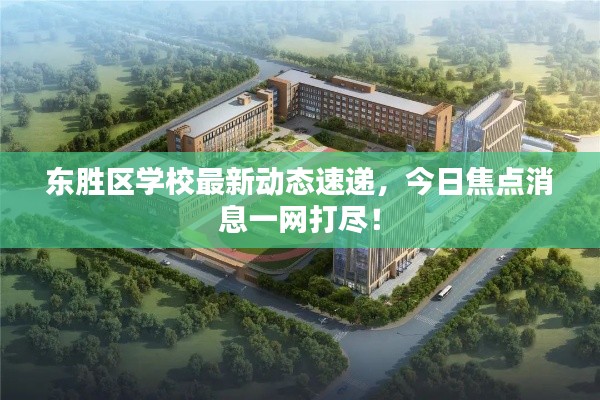 东胜区学校最新动态速递,今日焦点消息一网打尽!