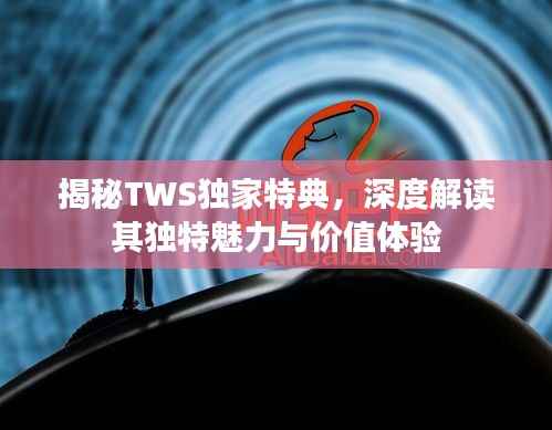 揭秘TWS独家特典,深度解读其独特魅力与价值体验