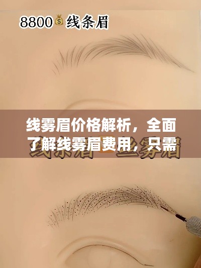 线雾眉价格解析,全面了解线雾眉费用,只需百度一下!
