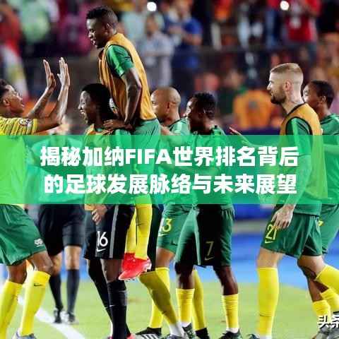 揭秘加纳FIFA世界排名背后的足球发展脉络与未来展望