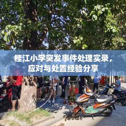 桂江小学突发事件处理实录,应对与处置经验分享