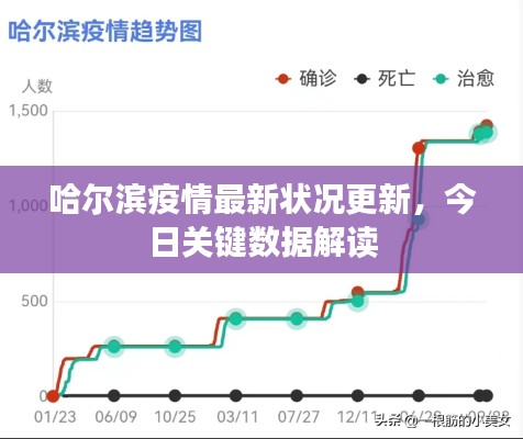 哈尔滨疫情最新状况更新,今日关键数据解读