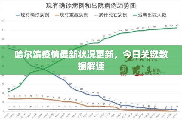 哈尔滨疫情最新状况更新,今日关键数据解读