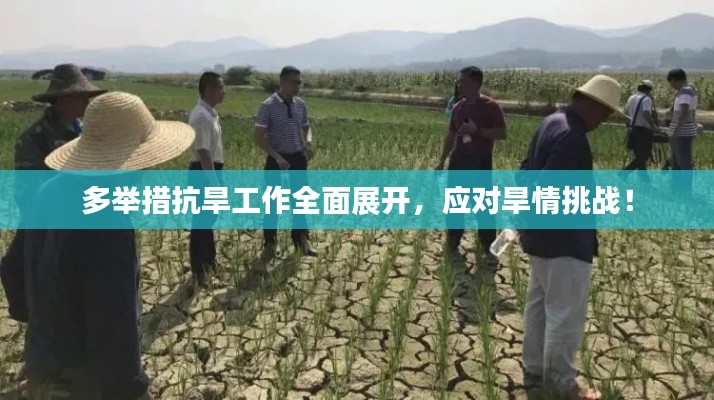 多举措抗旱工作全面展开,应对旱情挑战!