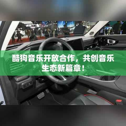 酷狗音乐开放合作,共创音乐生态新篇章!