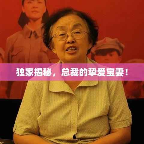 独家揭秘,总裁的挚爱宝妻!