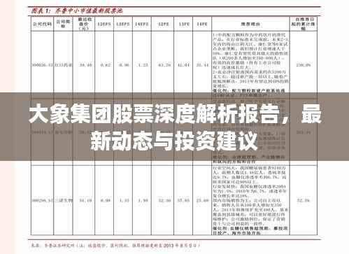 大象集团股票深度解析报告,最新动态与投资建议