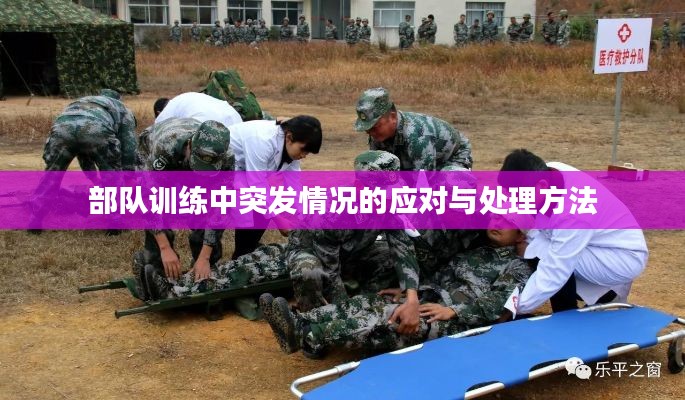 部队训练中突发情况的应对与处理方法