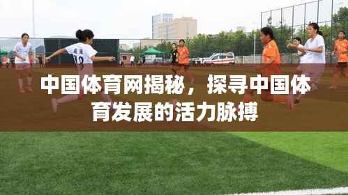 中国体育网揭秘,探寻中国体育发展的活力脉搏