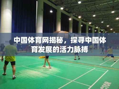 中国体育网揭秘,探寻中国体育发展的活力脉搏