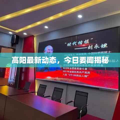 高阳最新动态,今日要闻揭秘