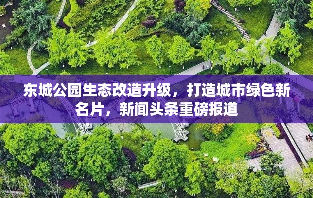 笨鸟先飞 第2页