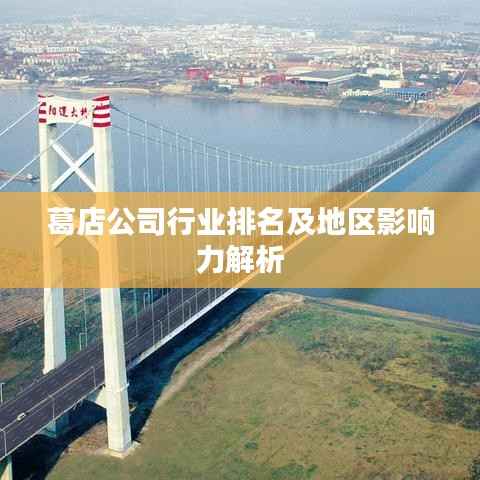 葛店公司行业排名及地区影响力解析