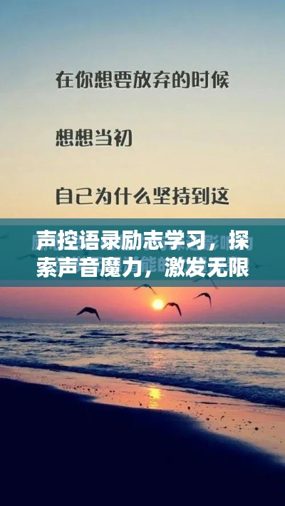 声控语录励志学习,探索声音魔力,激发无限学习潜能