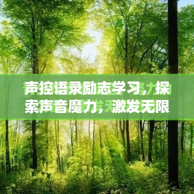 声控语录励志学习,探索声音魔力,激发无限学习潜能