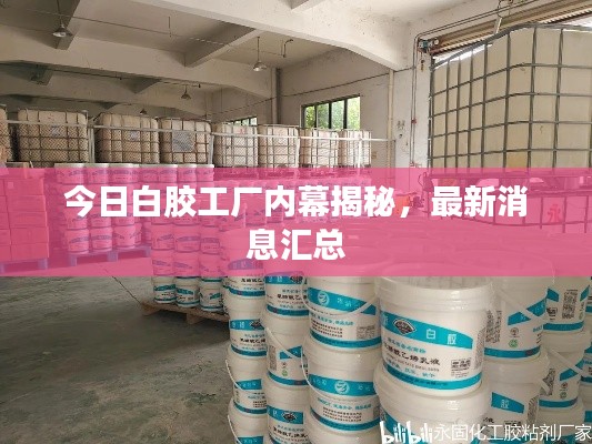 今日白胶工厂内幕揭秘，最新消息汇总
