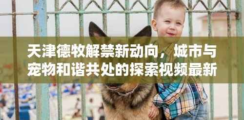 天津德牧解禁新动向,城市与宠物和谐共处的探索视频最新版