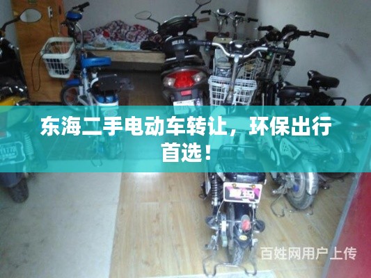 东海二手电动车转让,环保出行首选!