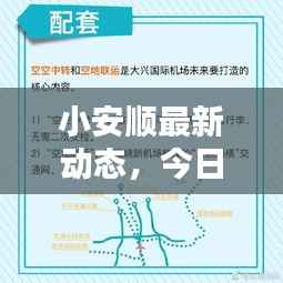 小安顺最新动态,今日头条新闻报道汇总