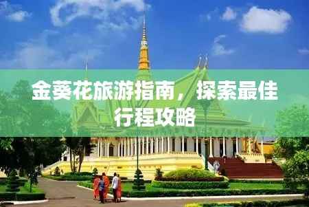金葵花旅游指南,探索最佳行程攻略