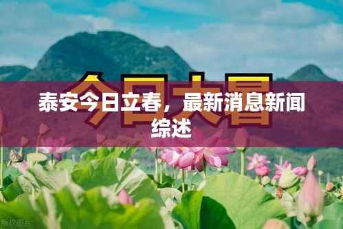 泰安今日立春,最新消息新闻综述