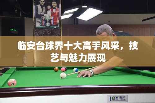 临安台球界十大高手风采,技艺与魅力展现