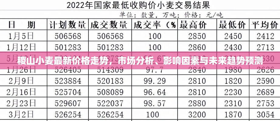 稷山小麦最新价格走势,市场分析、影响因素与未来趋势预测