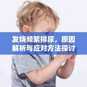发烧频繁排尿,原因解析与应对方法探讨