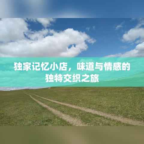 独家记忆小店,味道与情感的独特交织之旅