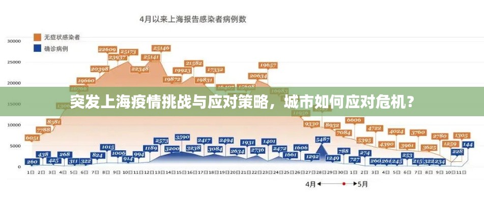 突发上海疫情挑战与应对策略,城市如何应对危机?
